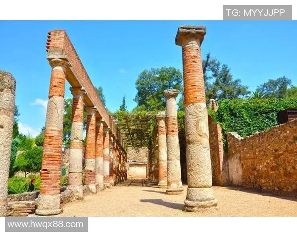 法国足球黄金一代球星崛起与辉煌历程的全景回顾