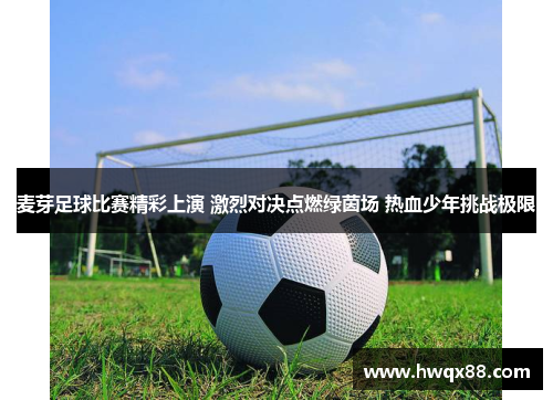 麦芽足球比赛精彩上演 激烈对决点燃绿茵场 热血少年挑战极限
